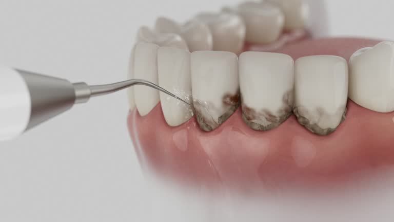 Reliable Dental contractor in St. Cloud, FL by Dentist Open Now